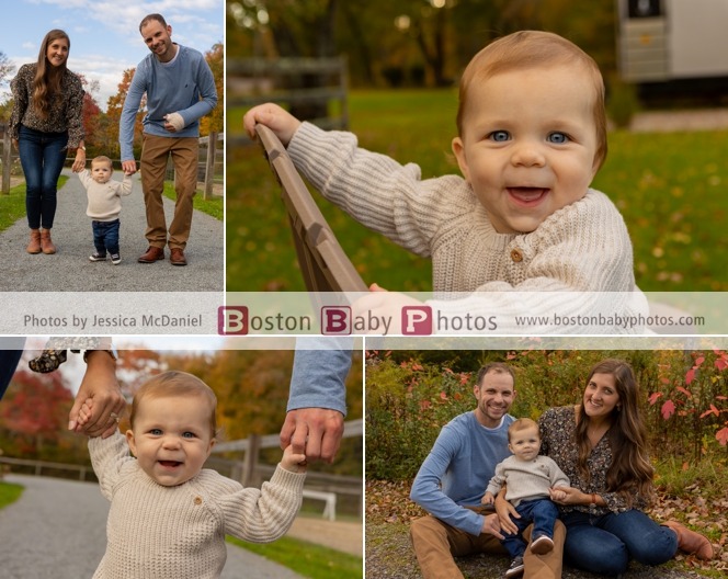 Rehoboth, MA: One Year Old at the Horse Farm